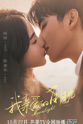 泰安市网站优化维护公司